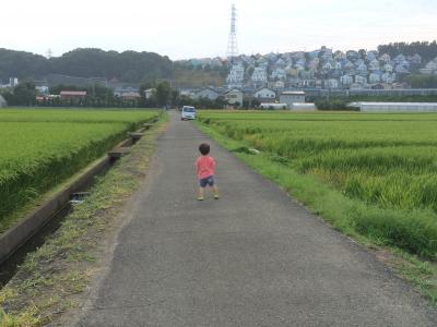 地元の平塚にて♪