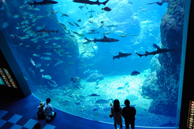 Enoshima-Aquarium.jpg